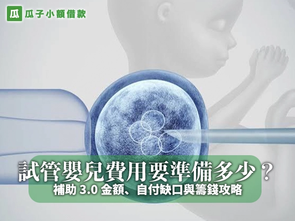 顯微鏡下的卵細胞與注射用玻璃細針，背景是淡灰色的胎兒輪廓，封面大字「試管嬰兒費用要準備多少？」